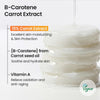 SKINFOOD Carrot Carotene Calming Water Pad (60 pads)