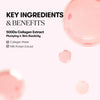VT Cosmetics VT Collagen Reedle Shot 100 2 Step Hydrogel Mask (10 EA)