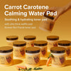 SKINFOOD Carrot Carotene Calming Water Pad (60pads)