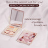 MilleFée Secret Concealer Palette